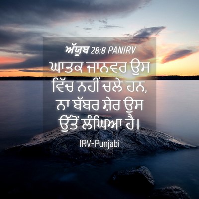Picture 04 - ਅੱਯੂਬ 28:8 PANIRV - ਘਾਤਕ ਜਾਨਵਰ ਉਸ ਵਿੱਚ - Bible Verse Picture