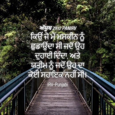 Picture 04 - ਅੱਯੂਬ 29:12 PANIRV - ਕਿਉਂ ਜੋ ਮੈਂ ਮਸਕੀਨ - Bible Verse Picture