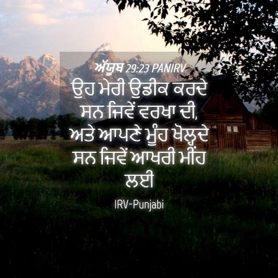 Picture 04 - ਅੱਯੂਬ 29:23 PANIRV - ਉਹ ਮੇਰੀ ਉਡੀਕ ਕਰਦੇ - Bible Verse Picture