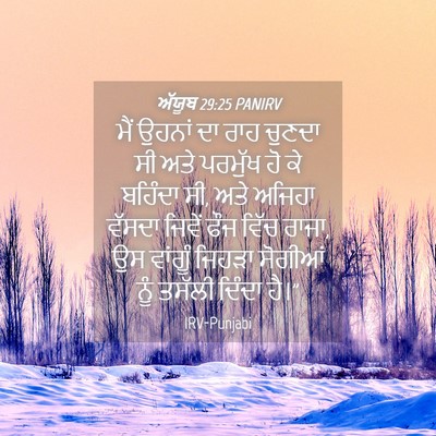 Picture 04 - ਅੱਯੂਬ 29:25 PANIRV - ਮੈਂ ਉਹਨਾਂ ਦਾ ਰਾਹ - Bible Verse Picture