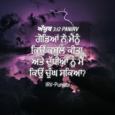 Picture 04 - ਅੱਯੂਬ 3:12 PANIRV - ਗੋਡਿਆਂ ਨੇ ਮੈਨੂੰ - Bible Verse Picture