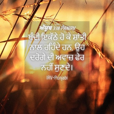 Picture 04 - ਅੱਯੂਬ 3:18 PANIRV - ਬੰਦੀ ਇਕੱਠੇ ਹੋ ਕੇ - Bible Verse Picture