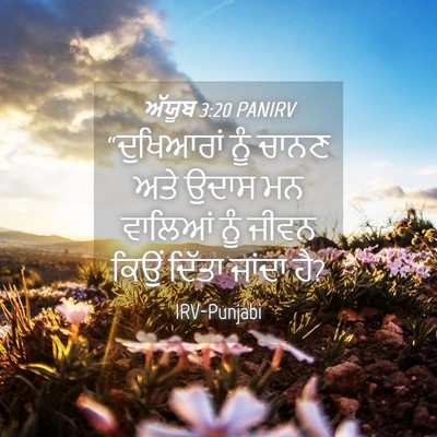 Picture 04 - ਅੱਯੂਬ 3:20 PANIRV - “ਦੁਖਿਆਰਾਂ ਨੂੰ - Bible Verse Picture