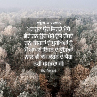 Picture 04 - ਅੱਯੂਬ 30:1 PANIRV - ਪਰ ਹੁਣ ਉਹ ਜਿਹੜੇ - Bible Verse Picture