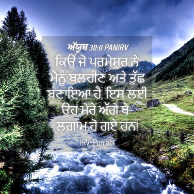 Picture 04 - ਅੱਯੂਬ 30:11 PANIRV - ਕਿਉਂ ਜੋ ਪਰਮੇਸ਼ੁਰ - Bible Verse Picture