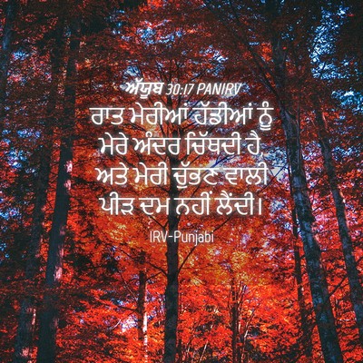 Picture 04 - ਅੱਯੂਬ 30:17 PANIRV - ਰਾਤ ਮੇਰੀਆਂ ਹੱਡੀਆਂ - Bible Verse Picture