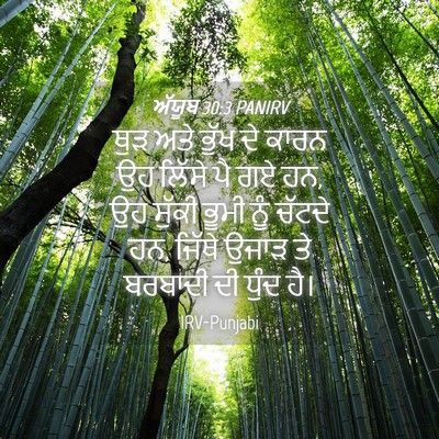 Picture 04 - ਅੱਯੂਬ 30:3 PANIRV - ਥੁੜ ਅਤੇ ਭੁੱਖ ਦੇ - Bible Verse Picture