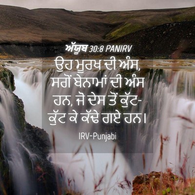 Picture 04 - ਅੱਯੂਬ 30:8 PANIRV - ਉਹ ਮੂਰਖ ਦੀ ਅੰਸ, - Bible Verse Picture