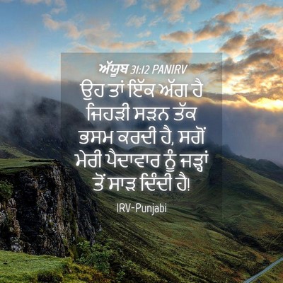 Picture 04 - ਅੱਯੂਬ 31:12 PANIRV - ਉਹ ਤਾਂ ਇੱਕ ਅੱਗ ਹੈ - Bible Verse Picture