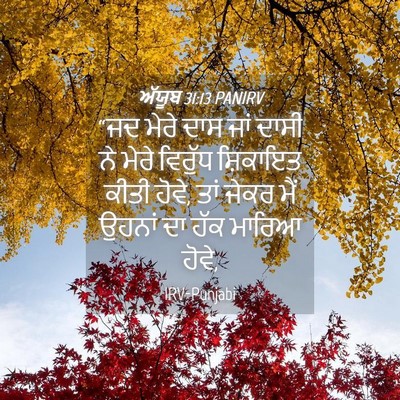 Picture 04 - ਅੱਯੂਬ 31:13 PANIRV - “ਜਦ ਮੇਰੇ ਦਾਸ ਜਾਂ - Bible Verse Picture