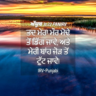 Picture 04 - ਅੱਯੂਬ 31:22 PANIRV - ਤਦ ਮੇਰਾ ਮੌਰ ਮੋਢੇ - Bible Verse Picture