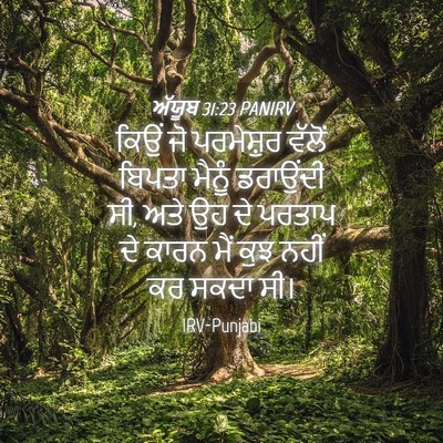 Picture 04 - ਅੱਯੂਬ 31:23 PANIRV - ਕਿਉਂ ਜੋ ਪਰਮੇਸ਼ੁਰ - Bible Verse Picture