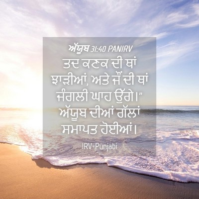 Picture 04 - ਅੱਯੂਬ 31:40 PANIRV - ਤਦ ਕਣਕ ਦੀ ਥਾਂ - Bible Verse Picture