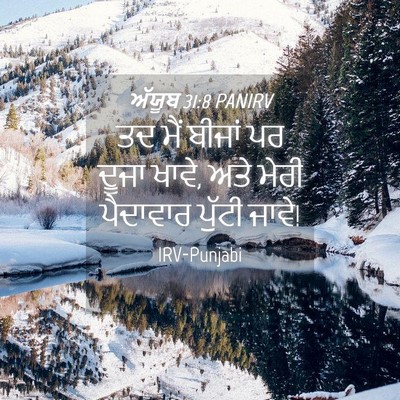 Picture 04 - ਅੱਯੂਬ 31:8 PANIRV - ਤਦ ਮੈਂ ਬੀਜਾਂ ਪਰ - Bible Verse Picture