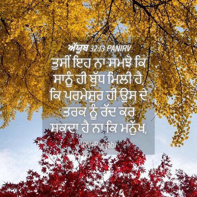 Picture 04 - ਅੱਯੂਬ 32:13 PANIRV - ਤੁਸੀਂ ਇਹ ਨਾ ਸਮਝੋ ਕਿ - Bible Verse Picture