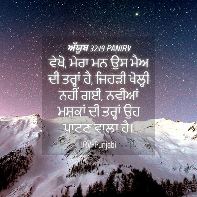 Picture 04 - ਅੱਯੂਬ 32:19 PANIRV - ਵੇਖੋ, ਮੇਰਾ ਮਨ ਉਸ - Bible Verse Picture