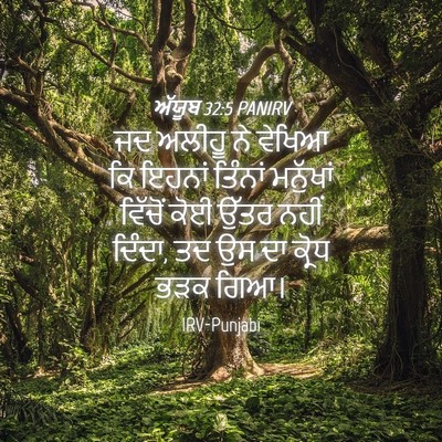Picture 04 - ਅੱਯੂਬ 32:5 PANIRV - ਜਦ ਅਲੀਹੂ ਨੇ ਵੇਖਿਆ - Bible Verse Picture