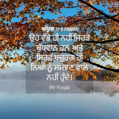 Picture 04 - ਅੱਯੂਬ 32:9 PANIRV - ਉਹ ਵੱਡੇ ਹੀ ਨਹੀਂ - Bible Verse Picture
