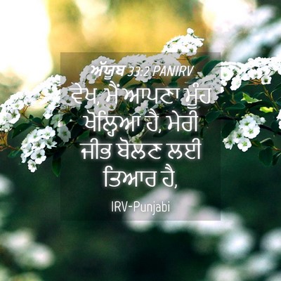 Picture 04 - ਅੱਯੂਬ 33:2 PANIRV - ਵੇਖ, ਮੈਂ ਆਪਣਾ ਮੂੰਹ - Bible Verse Picture