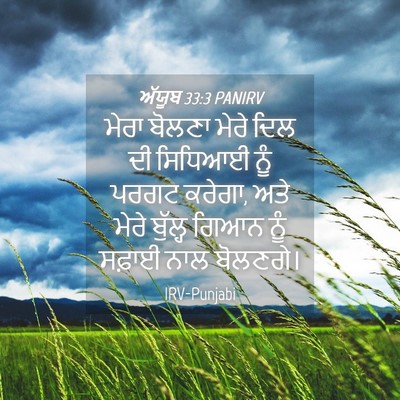 Picture 04 - ਅੱਯੂਬ 33:3 PANIRV - ਮੇਰਾ ਬੋਲਣਾ ਮੇਰੇ - Bible Verse Picture