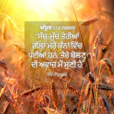 Picture 04 - ਅੱਯੂਬ 33:8 PANIRV - “ਸੱਚ-ਮੁੱਚ ਤੇਰੀਆਂ - Bible Verse Picture