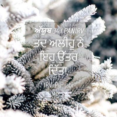 Picture 04 - ਅੱਯੂਬ 34:1 PANIRV - ਤਦ ਅਲੀਹੂ ਨੇ ਇਹ ਉੱਤਰ - Bible Verse Picture