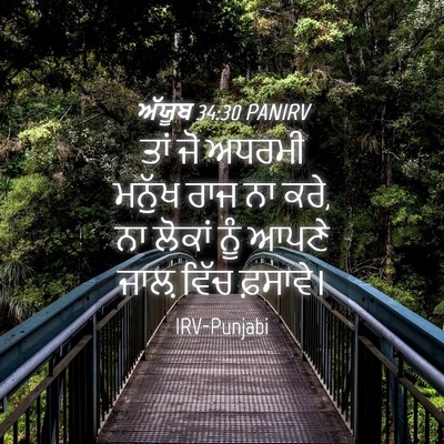 Picture 04 - ਅੱਯੂਬ 34:30 PANIRV - ਤਾਂ ਜੋ ਅਧਰਮੀ ਮਨੁੱਖ - Bible Verse Picture