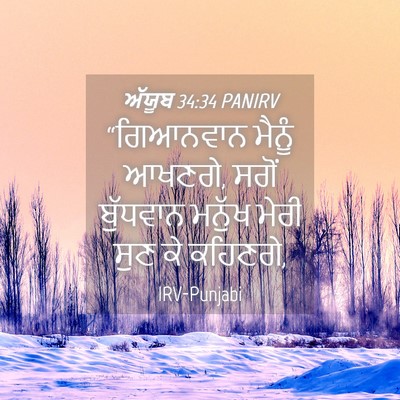 Picture 04 - ਅੱਯੂਬ 34:34 PANIRV - “ਗਿਆਨਵਾਨ ਮੈਨੂੰ - Bible Verse Picture