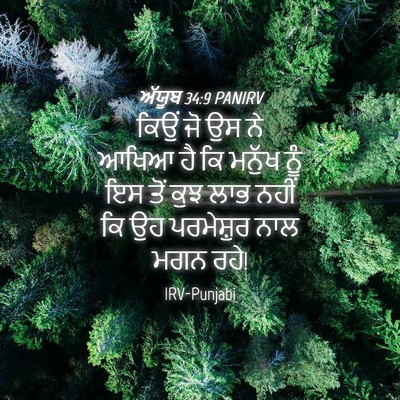Picture 04 - ਅੱਯੂਬ 34:9 PANIRV - ਕਿਉਂ ਜੋ ਉਸ ਨੇ ਆਖਿਆ - Bible Verse Picture