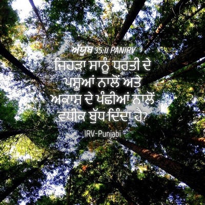 Picture 04 - ਅੱਯੂਬ 35:11 PANIRV - ਜਿਹੜਾ ਸਾਨੂੰ ਧਰਤੀ - Bible Verse Picture