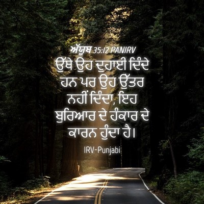 Picture 04 - ਅੱਯੂਬ 35:12 PANIRV - ਉੱਥੇ ਉਹ ਦੁਹਾਈ - Bible Verse Picture
