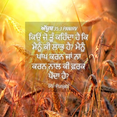 Picture 04 - ਅੱਯੂਬ 35:3 PANIRV - ਕਿਉਂ ਜੋ ਤੂੰ ਕਹਿੰਦਾ - Bible Verse Picture