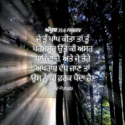 Picture 04 - ਅੱਯੂਬ 35:6 PANIRV - ਜੇ ਤੂੰ ਪਾਪ ਕੀਤਾ ਤਾਂ - Bible Verse Picture