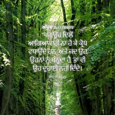 Picture 04 - ਅੱਯੂਬ 36:13 PANIRV - “ਪਰ ਉਹ ਦਿਲੋਂ - Bible Verse Picture