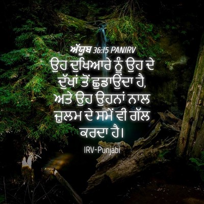 Picture 04 - ਅੱਯੂਬ 36:15 PANIRV - ਉਹ ਦੁਖਿਆਰੇ ਨੂੰ ਉਹ - Bible Verse Picture