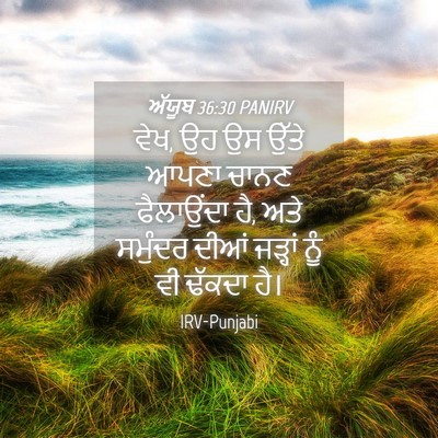 Picture 04 - ਅੱਯੂਬ 36:30 PANIRV - ਵੇਖ, ਉਹ ਉਸ ਉੱਤੇ - Bible Verse Picture