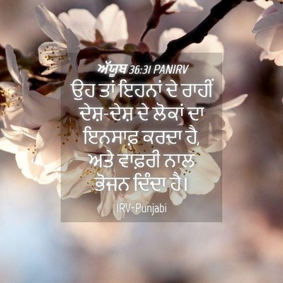 Picture 04 - ਅੱਯੂਬ 36:31 PANIRV - ਉਹ ਤਾਂ ਇਹਨਾਂ ਦੇ - Bible Verse Picture