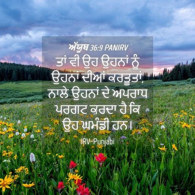 Picture 04 - ਅੱਯੂਬ 36:9 PANIRV - ਤਾਂ ਵੀ ਉਹ ਉਹਨਾਂ ਨੂੰ - Bible Verse Picture
