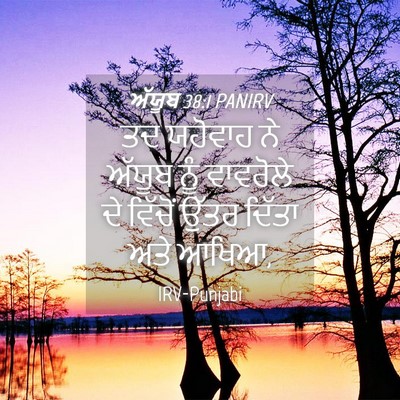 Picture 04 - ਅੱਯੂਬ 38:1 PANIRV - ਤਦ ਯਹੋਵਾਹ ਨੇ ਅੱਯੂਬ - Bible Verse Picture