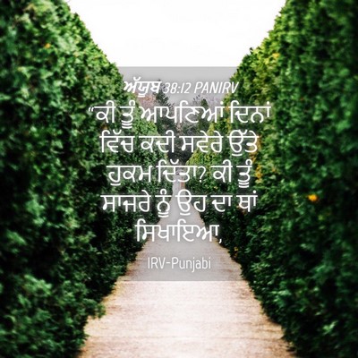 Picture 04 - ਅੱਯੂਬ 38:12 PANIRV - “ਕੀ ਤੂੰ ਆਪਣਿਆਂ - Bible Verse Picture