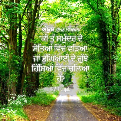 Picture 04 - ਅੱਯੂਬ 38:16 PANIRV - “ਕੀ ਤੂੰ ਸਮੁੰਦਰ ਦੇ - Bible Verse Picture