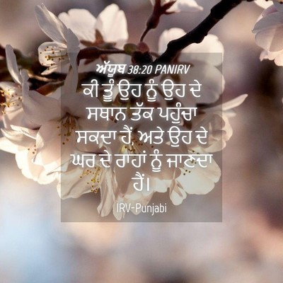 Picture 04 - ਅੱਯੂਬ 38:20 PANIRV - ਕੀ ਤੂੰ ਉਹ ਨੂੰ ਉਹ ਦੇ - Bible Verse Picture