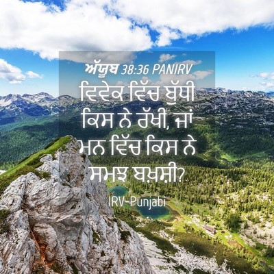Picture 04 - ਅੱਯੂਬ 38:36 PANIRV - ਵਿਵੇਕ ਵਿੱਚ ਬੁੱਧੀ - Bible Verse Picture