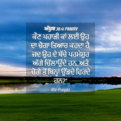Picture 04 - ਅੱਯੂਬ 38:41 PANIRV - ਕੌਣ ਪਹਾੜੀ ਕਾਂ ਲਈ ਉਹ - Bible Verse Picture