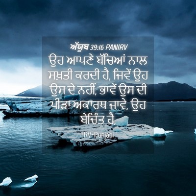 Picture 04 - ਅੱਯੂਬ 39:16 PANIRV - ਉਹ ਆਪਣੇ ਬੱਚਿਆਂ ਨਾਲ - Bible Verse Picture