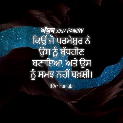 Picture 04 - ਅੱਯੂਬ 39:17 PANIRV - ਕਿਉਂ ਜੋ ਪਰਮੇਸ਼ੁਰ - Bible Verse Picture