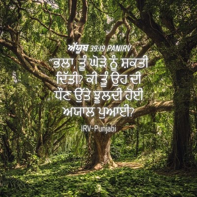 Picture 04 - ਅੱਯੂਬ 39:19 PANIRV - “ਭਲਾ, ਤੂੰ ਘੋੜੇ ਨੂੰ - Bible Verse Picture