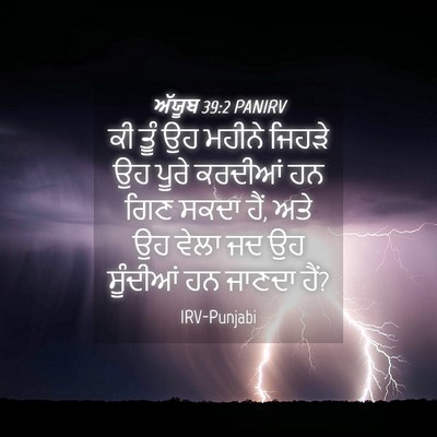 Picture 04 - ਅੱਯੂਬ 39:2 PANIRV - ਕੀ ਤੂੰ ਉਹ ਮਹੀਨੇ - Bible Verse Picture