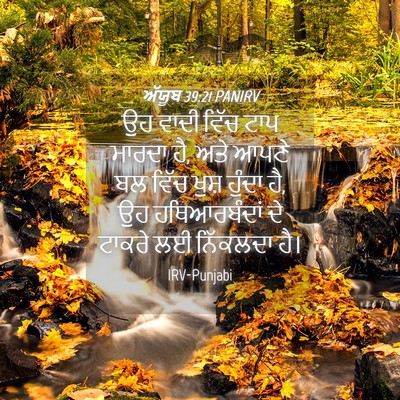 Picture 04 - ਅੱਯੂਬ 39:21 PANIRV - ਉਹ ਵਾਦੀ ਵਿੱਚ ਟਾਪ - Bible Verse Picture