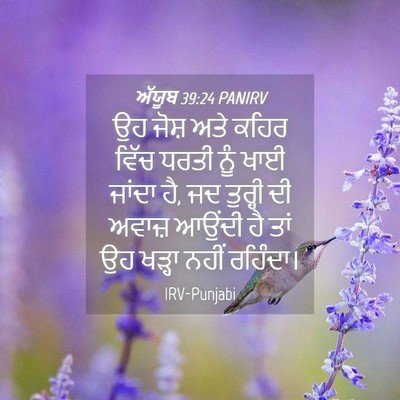 Picture 04 - ਅੱਯੂਬ 39:24 PANIRV - ਉਹ ਜੋਸ਼ ਅਤੇ ਕਹਿਰ - Bible Verse Picture